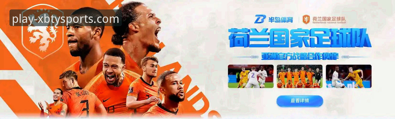 新宝体育平台官方下载的3个核心要点与2个深度解析